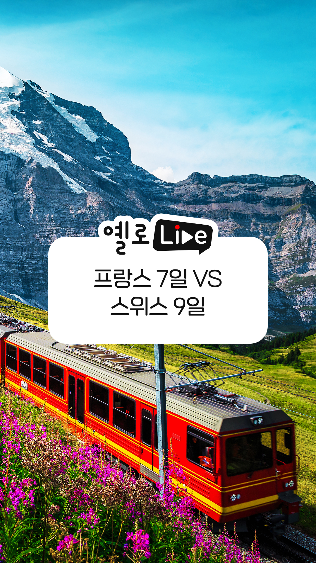 프랑스 그리고 스위스
