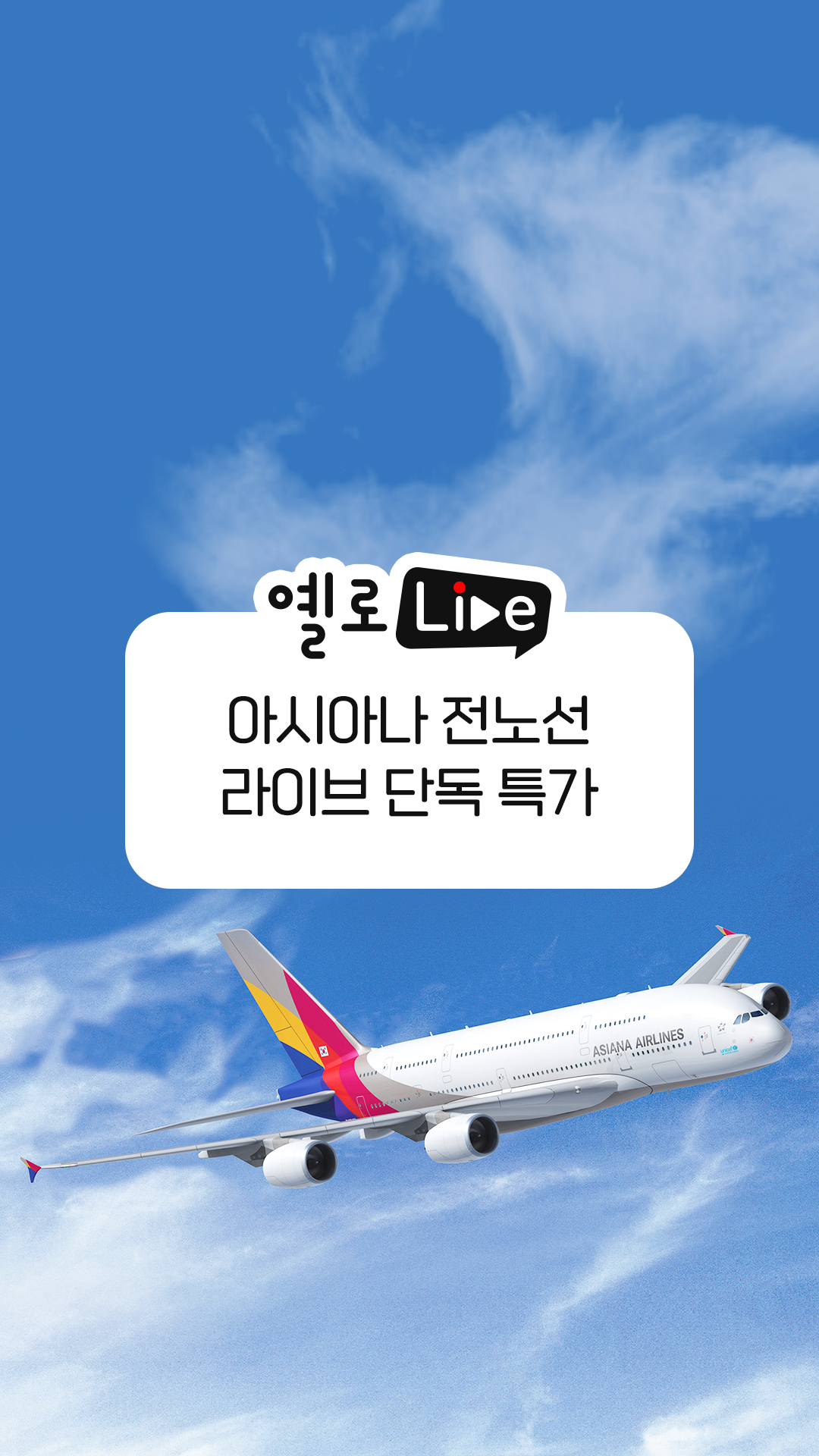 아시아나항공 전 노선 단독 특가