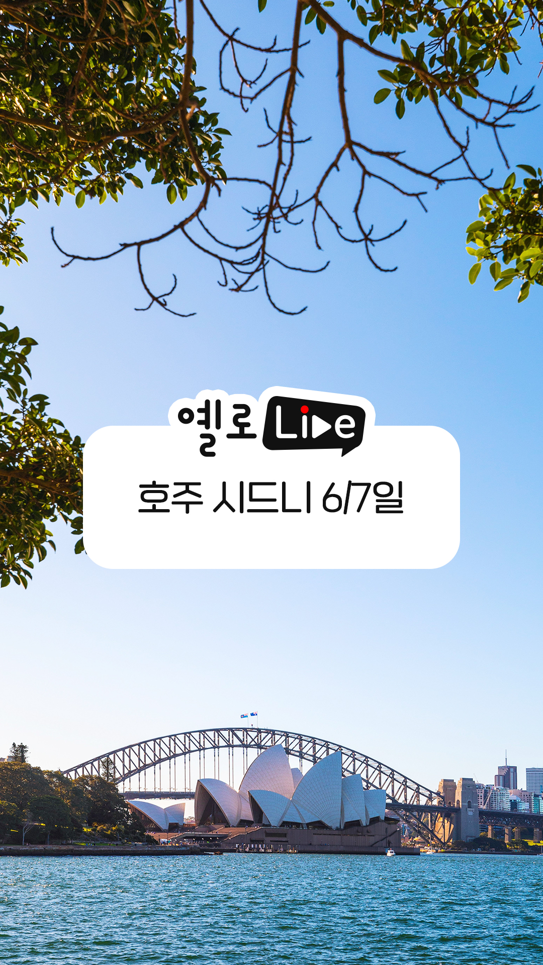 호주 시드니 6/7일